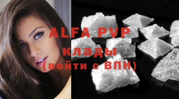 гашик Верея