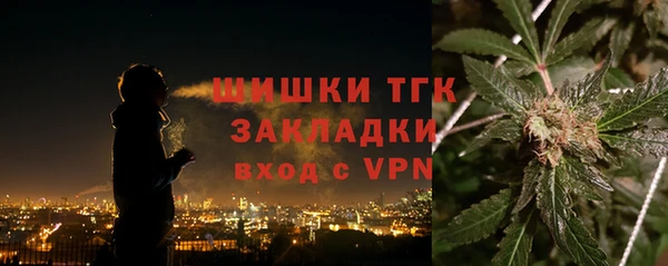гашик Верея
