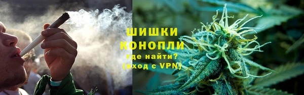 гашик Верея