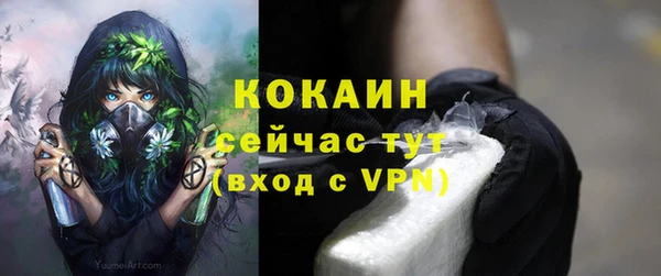 гашик Верея