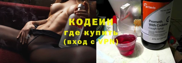 гашик Верея