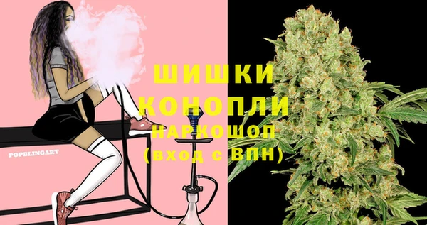 гашик Верея