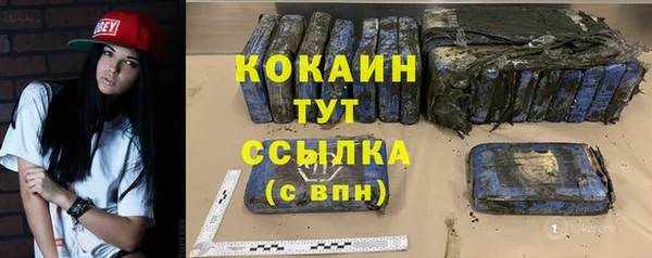 гашик Верея
